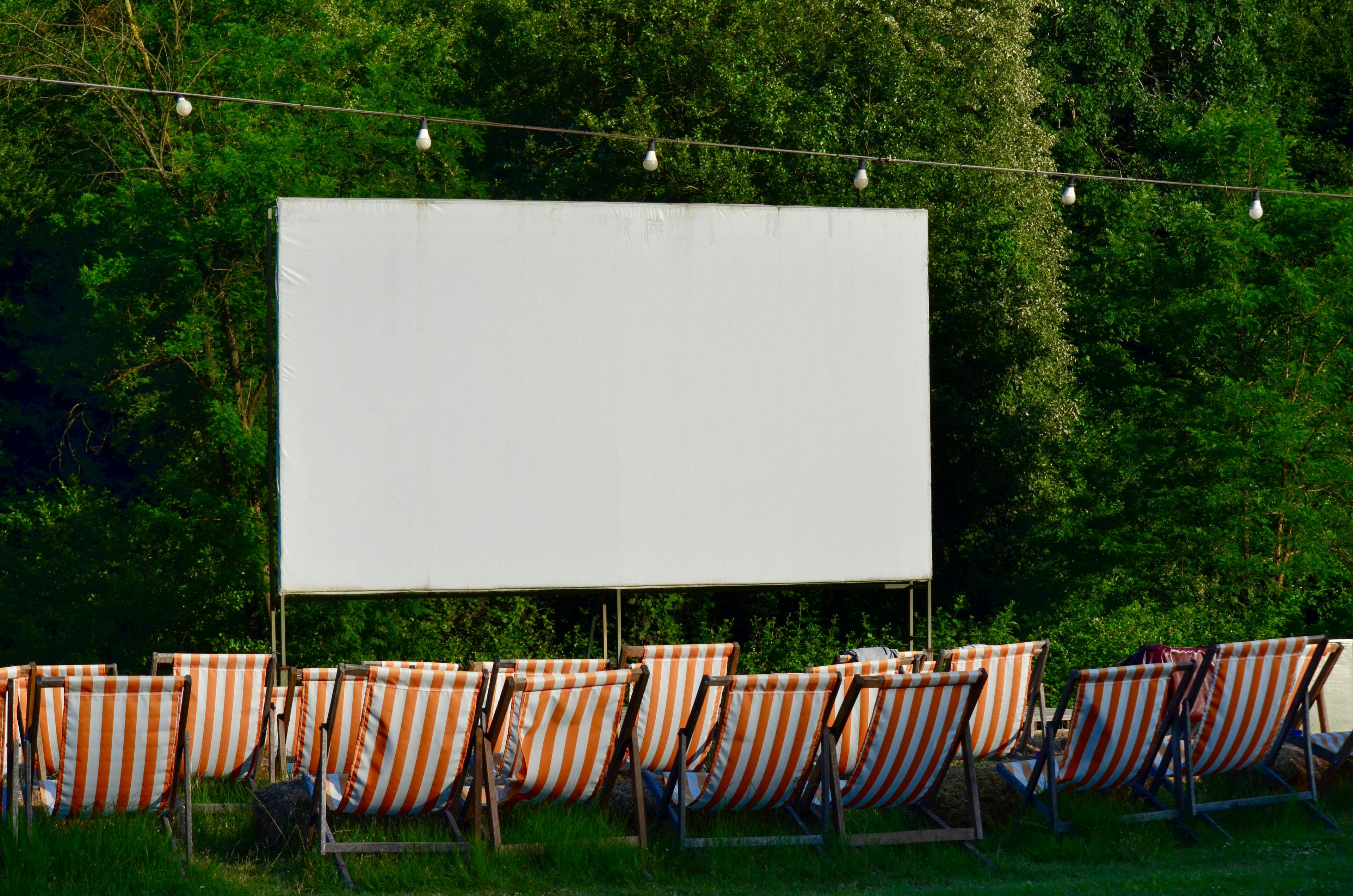 Projector Screen